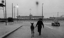 Addio Enzo Sellerio, fotografo e storico editore | Balarm.it