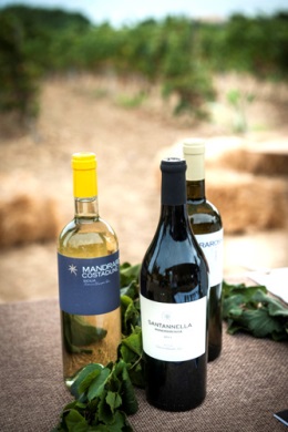 I vini Mandrarossa