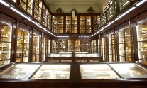 Museo di Zoologia: tornano i Darwin Days 2012 | Balarm.it
