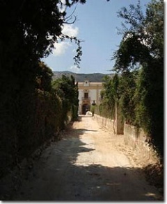 Villa Alliata Cardillo 